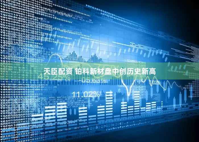 天臣配资 铂科新材盘中创历史新高